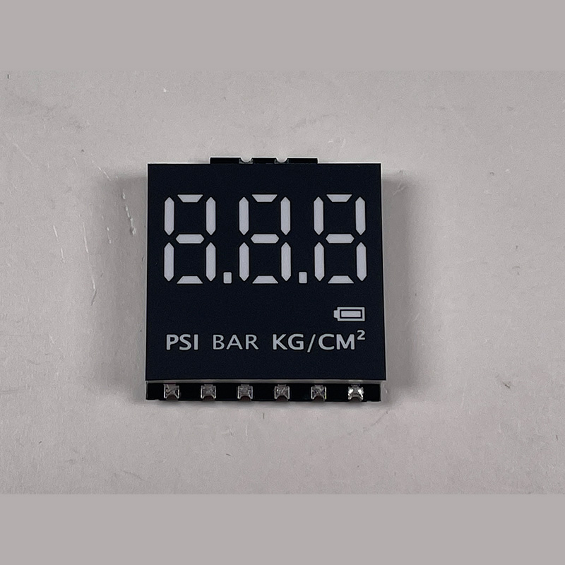 segment display